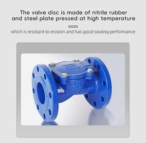 [Hot Item] H44X Cast Iron Swing Flange Check Valve