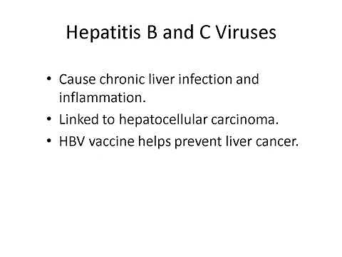 Infectious Agents and Cancer Explained: HPV, EBV, H. pylori, and Viral Oncogenesis