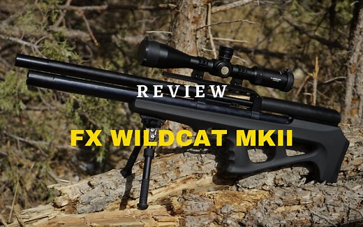 FX Wildcat MKII Review – Is The Best Air Rifle For Hunting? | [January Updated]