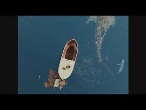 Life of pi - tiger vision