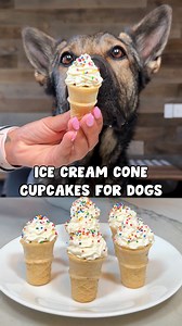JADE THE SABLE GSD on Instagram: "Ice Cream Cone Cupcakes For Dogs Recipe 🧁🍦 (recipe card @ end) - #dog #dogs #dogcake #cupcake #dogtreats #dogrecipes #cookingfordogs"