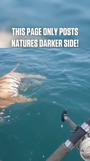 505 reactions · 84 shares | A fisherman on a quiet boat drifted...