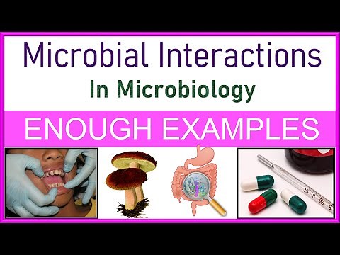 Microbial Interactions in Microbiology | Types | Explained with Enough Examples