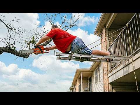 Idiots With Chainsaws: Tree Cutting Fails | Extreme Dangerous Logging Truck Fails #39