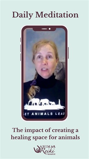 What if you could help animals by... ✨ Lowering their stress levels ✨ Boosting their immunity ✨ Supporting their transition into self-healing mode It all starts with creating a healing space for them to comfortably step into. By practicing meditation daily, you can set a strong foundation for sharing Animal Reiki in an ethical, mindful, and truly impactful way. | Animal Reiki Source