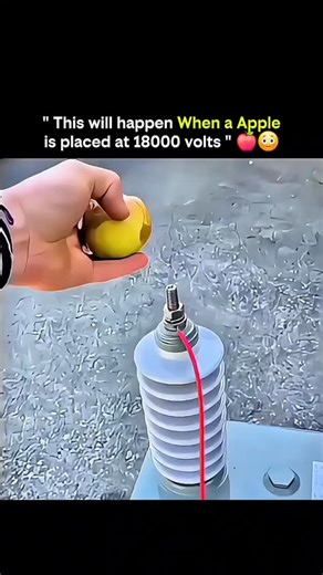 Knowledge Matrix | "Did you know?"👇 Placing an apple under an extreme 18,000 volts turns a simple fruit into a dramatic science experiment. At first glance,... | Instagram