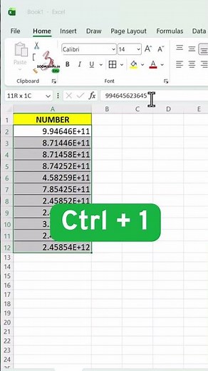 Fix Long Numbers in Excel #excel #spreadsheetmagic #excelautomation