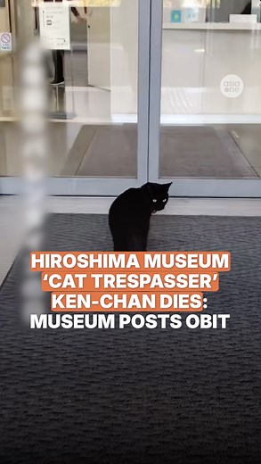 6K views · 83 reactions | Ken-chan, the black cat who melted everyone's hearts back in 2016 by repeatedly trying to enter a Hiroshima museum only to be thwarted by a security guard, has died. The Onomichi City Museum of Art announced on Nov 11 that the feline had "passed peacefully" on Sept 20, and that it had been receiving treatment prior to its death. "We will never forget our days with Ken-chan. Thank you," they added. #japan #news #cat #obituary | AsiaOne | Facebook