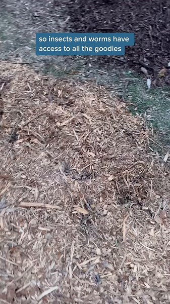 DIY Compost Bin Filling Guide