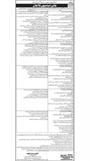 Sindh Finance SAP Jobs 2026