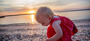 What is Shelling? | Royal Shell Vacation