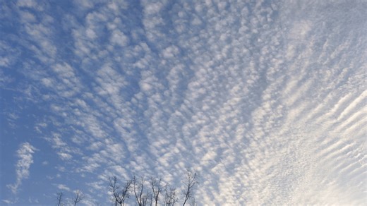 给喜欢的女孩点赞。第24天、第25天。第26天。第27天。第28天。第29天。第30天。第31天。第32天。