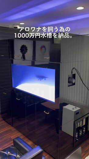 アロワナとアジアアロワナの大型水槽セット納品！