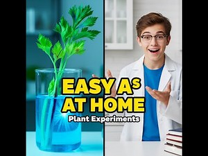 Plant Experiments You Can Do At Home (KS3, GCSE & A-Level)