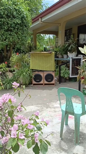 Ultimate Speaker Bass Test and Sound Check Guide