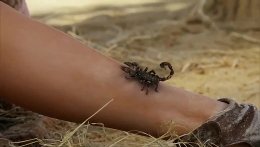 Moisés y los 10 mandamientos capitulo 53 | Devocionales Y Mas