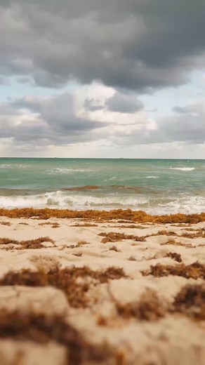 Cleaning up plastics from Miami Beach ♻️🏝️ Timmy and Nerea took part in a rewarding activation to kick off race week, removing plastics and waste from one of the world’s most iconic beaches 🤲 Having a positive impact on and off the water 🌊 #TeamBrazil #Miami #MiamiBeach #E1Series | E1 Team Brazil