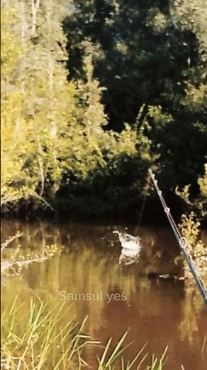 dua kali casting langsung jegieer Toman