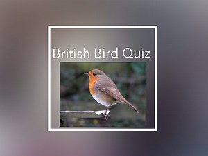 British Bird Quiz