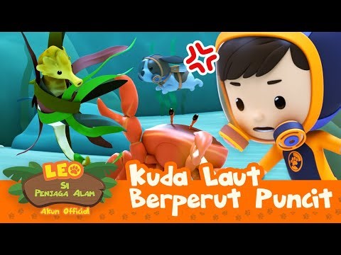 Jangan Sentuh SI KUDA LAUT! 🌊 | Kuda Laut Berperut Buncit | Leo Si Penjaga Alam | #minisode