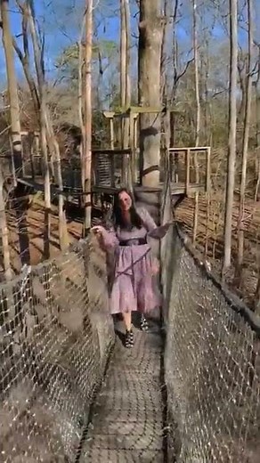 Lynches River County park Florence Sc