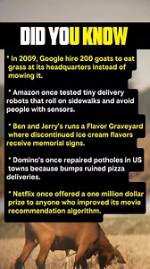 Why did Google hire goats to mow the lawn? #facts | Vaijan Express
