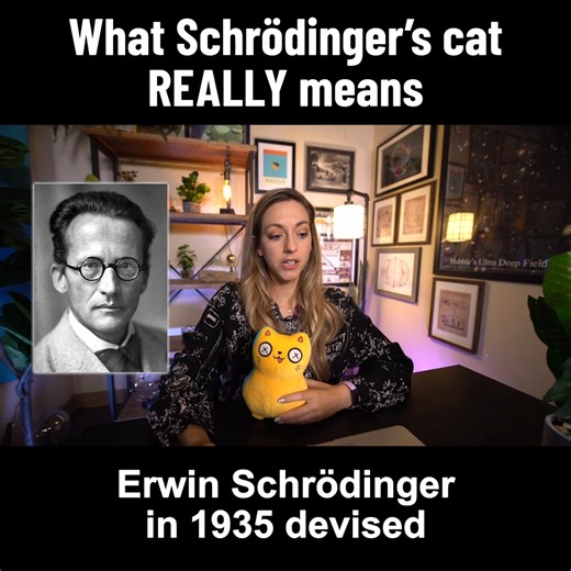 683K views · 8.1K reactions | Why did Schrödinger devise this strange...