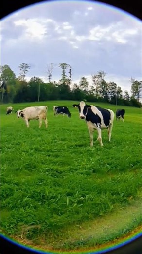 ❗️How about we have some fun❓️🤗