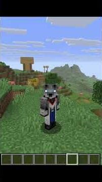 Warum deine Minecraft-Commands NICHT funktionieren! 🐺🚫