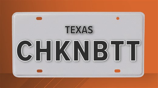 Texas DMV shares rejected custom license plates from 2024