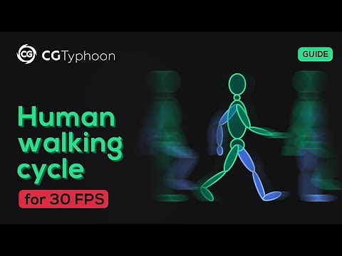Human walking cycle for 30 fps #walkcycle #animation