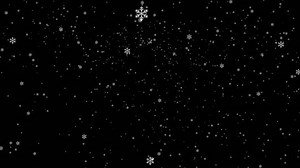 Snow Falling Black Screen Snowfall Particle Stock Footage Video (100% Royalty-free) 3767956019 | Shutterstock