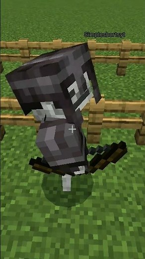 Minecraft, But Skeletons Are Converted #shorts