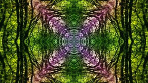 Kaleidoscope, Effect, Color. Free Stock Video