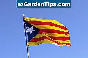 Las diferencias entre Redwood y Sequoia Trees 🌱 Tips Jardineros - Es.ezGardenTips.com