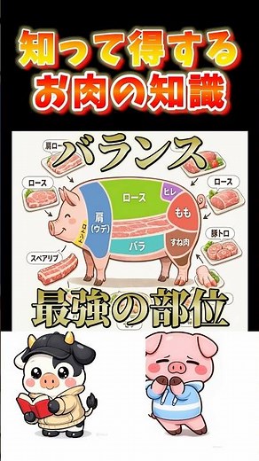 迷ったらこれ！？これが一番使える部位！#お肉の知識 #料理豆知識 #牛肉 #豚肉 #食の豆知識