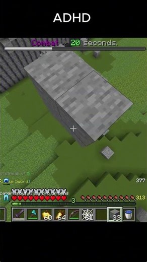 Normal vs ADHD in Minecraft Will Surprise You!
