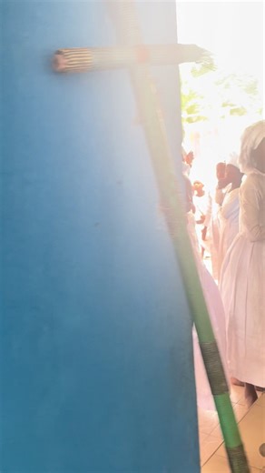 Birthday Surprise for My Shepherd! 🎉