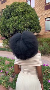 Happy Afro Day👩🏾‍🦱 | Sthembile Beauty n Lifestyle Diaries