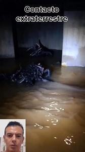 Se reproduce el organismo extraterrestre que cayo en un meteorito en Panama #alien | Contacto Extraterrestre
