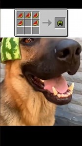 Minecraft Armor In Real Life!