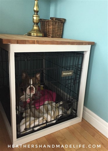 Dog Corner Ideas: 12 Fun & Functional Spaces for Your Pet!