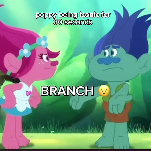 Trolls Poppy and Branch Memes Compilation