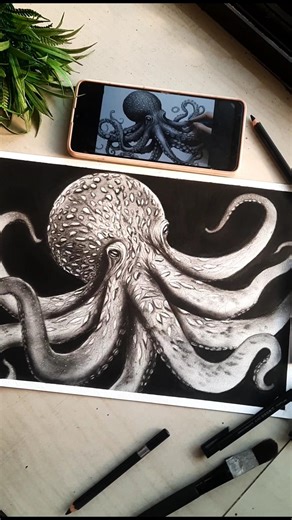 Hyperrealistic Octopus Drawing #shorts #octopus #realistic #art #seacreature #drawing #subscribe