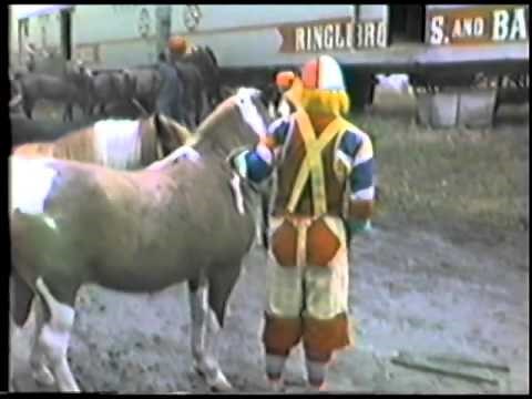 1981 Ringling Brothers & Barnum & Bailey Circus Train