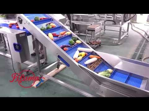 Customized Fruit and Vegetable Process Line | Small or Medium Scale