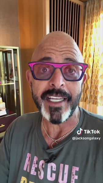 Got a cat who can high five, spin, or even jump through hoops—all for a little Churu? We want to see the best tricks you’ve taught your cat using Inaba Churu as motivation! Submit your video (the submit link is in my bio- just scroll down to “submit your content”) and then when you’re submitting, select the “Inaba” category. Let’s show the world what cats can really do. 🐾🎬 #Cat #CatVideos #CatTricks