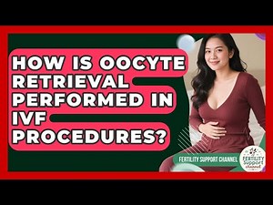 How Is Oocyte Retrieval Performed in IVF Procedures? | Fertility Support Channel