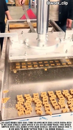 대량 생산의 효율성을 극대화한 자동화 식품 성형 설비의 압도적인 제조 과정 #worker #process #automation #foodtech #factory