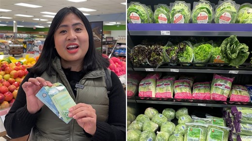 Shopping for a basket full of Canadian-made groceries with only $25